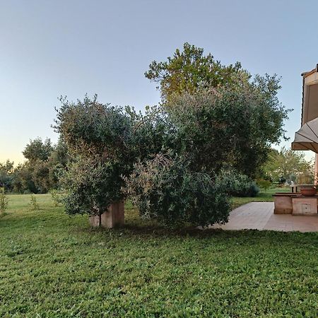 Agriturismo Fontelupo Bracciano  Extérieur photo