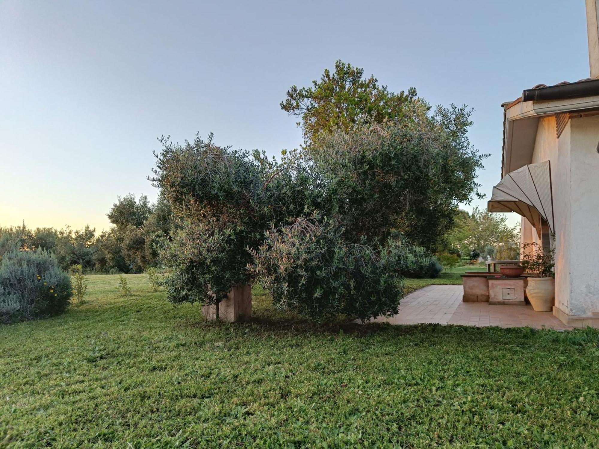 Agriturismo Fontelupo Bracciano  Extérieur photo