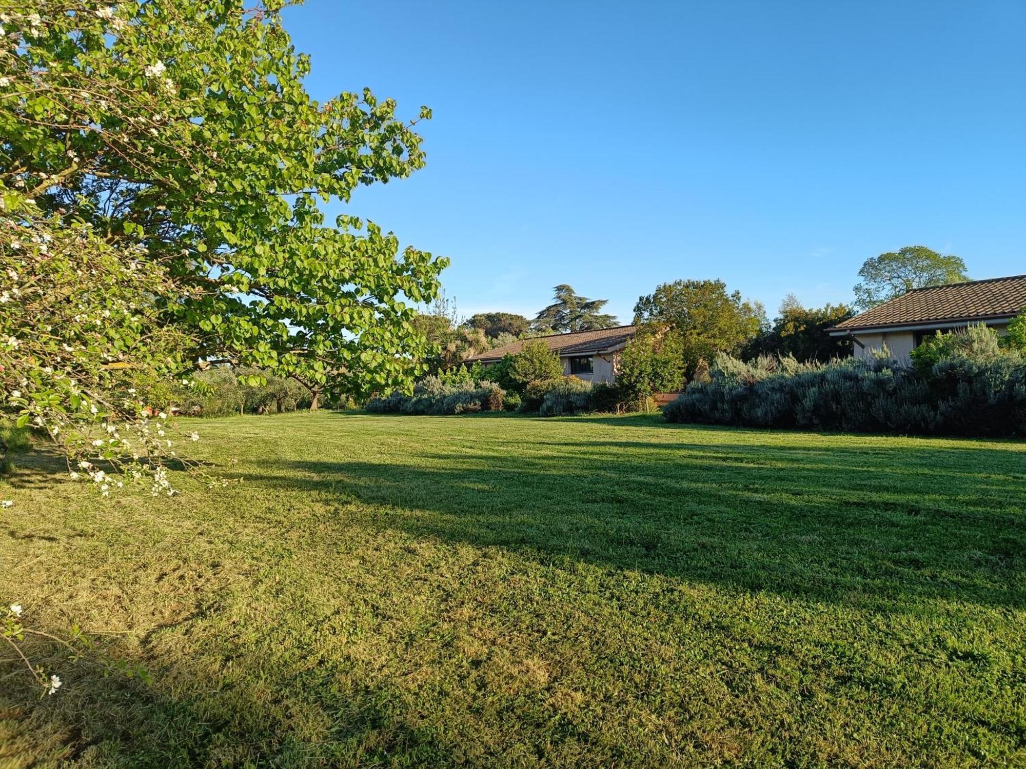 Agriturismo Fontelupo Bracciano  Extérieur photo