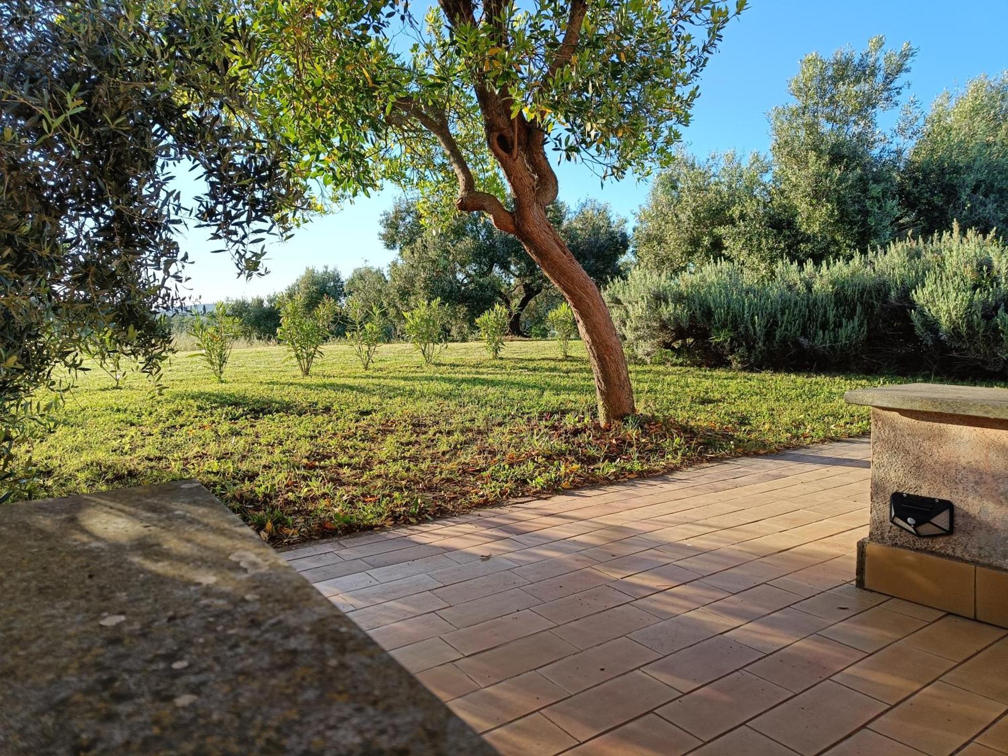 Agriturismo Fontelupo Bracciano  Extérieur photo
