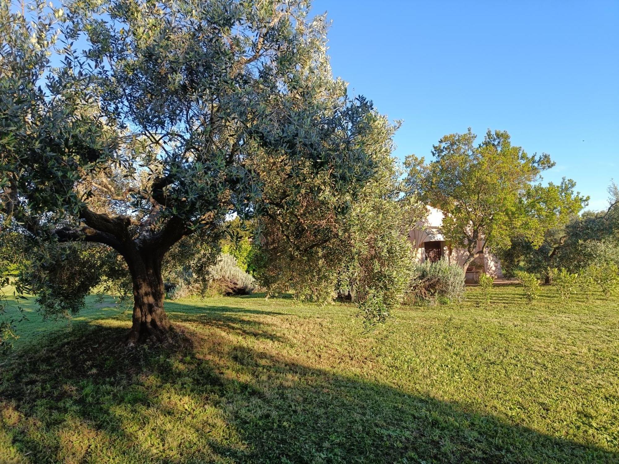 Agriturismo Fontelupo Bracciano  Extérieur photo