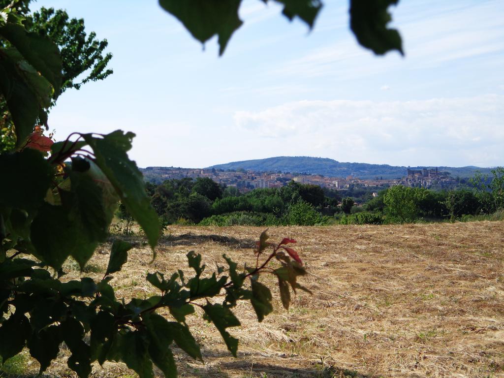 Agriturismo Fontelupo Bracciano  Extérieur photo